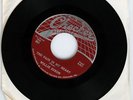 Willie Dixon Checker 851 Blues 45 29 Ways Pain in Heart