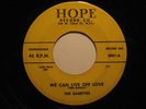Doo-Wop 45 THE BABETTES We Can Live off Love HOPE HEAR