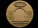 Garage Psych 45 SOUNDS OF MODIFICATION on JUBILEE HEAR