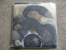 ROT IN HELL / WAYFARER 7