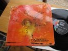 MOTHERHOOD SAME LP IN 1970 MINT (DOLDINGER) KRAUTROCK