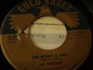 Persians, Gee What A Girl, Gold Eagle # 1813, vg+++