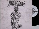 MALIGN -Divine Facing  10