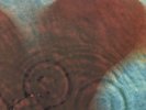PINK FLOYD, Meddle, MFSL, Nr.2584, Neu und ungespielt