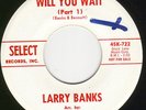 Northern Deep Soul 45 - LARRY BANKS - Will You Wait