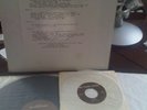 WASTED RANGERS Same (Private) 2 lp's + single