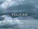 Pelican - Fire In Our Throats - 2xwhite LP - Isis Kyuss