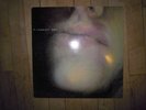 PJ Harvey - Dry LP NM