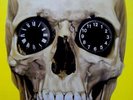 RARE DAMIEN HIRST 7” ART COVER THE HOURS / limit. Ed./4