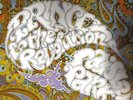 PRINCE - PAISLEY PARK  ( 12
