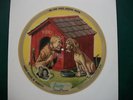 Vogue Picture Record 718 In The Dog House Now