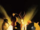 Dead Weather Sea of cowards split Jack white