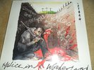 RARE:THE STORM:MALICE IN WONDERLAND:C86 PRIVATE:1985:NM