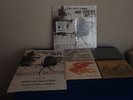 Modest Mouse Satellite Skin/Autumn Beds/PMM/King Rat 7