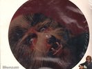 WARREN ZEVON Werewolves Of London PICTURE DISC DJ ONLY