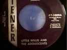 Little Willie & the Adolescents [1966] 60's Garage BFTG