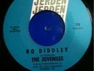 Juveniles - Bo Diddley [1965] 60's NW Garage