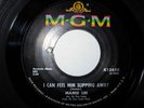 MAMIE LEE - I CAN FEEL HIM SLIPPING AWAY - MGM