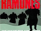 RAMONES - WE WANT THE AIRWAVES - DUTCH 45 - 1981 - SIRE