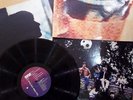 Paul Weller - Wild Wood - vinyl lp - Mod
