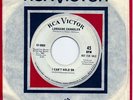 LORRAINE CHANDLER  RCA 45 I CAN'T HOLD ON NORTHERN SOUL