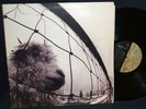 ? PEARL JAM VS - Signed original Epic LP Eddie Vedder