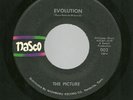 THE PICTURE 45RPM '69 NASCO EVOLUTION PSYCH FUZZ GUITAR