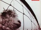 PEARL JAM  VS - LP GATEFOLD UNPLAYED 1993