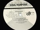 Soul Purpose 12