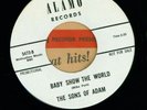 SONS OF ADAM--Feathered Fish. '66 garage psych 45. DJ