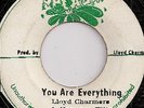 LLOYD CHARMERS & HORTENSE ELLIS / YOU ARE EVERYTHING