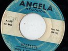 wild instro rocker 45  ANGIE & THE CITATIONS - Headache