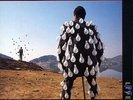 Pink Floyd - Delicate Sound of Thunder LP
