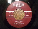 DETROIT JUNIOR Money Tree/So Unhappy BEA&BABY Blues 45