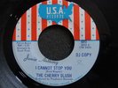 CHERRY SLUSH- I CANNOT STOP YOU,USA,DICK WAGNER