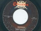 KILLER GARAGE FUZZ TITTYSHAKER -- JIMMY GORDON BUZZZZZZ