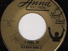 NORTHERN SOUL/RUBEN FORT/I FEEL IT/SO GOOD