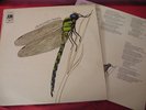 Strawbs -Dragonfly LP ORIG UK textured sleeve w/insert