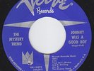 MYSTERY TREND Johnny Was A Good Boy GARAGE 45 psych MOD