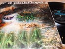 PINK FLOYD (A SAUCERFUL OF SECRETS) LP MONO, 1st PRESS