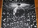NEIL YOUNG: Mirror Ball (Vinyl 2 LP) Pearl Jam U.S.