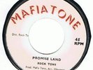 ROCK TONE - PROMISE LAND / VERSION