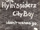Flyin Spiderz City Boy dutch punk kbd 45 7