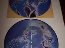 Rare Madonna Erotica Picture disc not promo + Insert