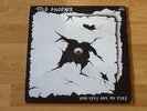 Cold Phoenix  12