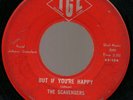45 THE SCAVENGERS 60s BEAT PSYCH GARAGE BAND IOWA IGL