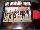The Nashville Teens  