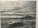 STEVE REICH SHANDAR LP TERRY RILEY-LA MONTE YOUNG-NWW