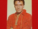 Elvis 