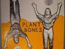 DEBBY CRISS Plant Bones PRIVATE FOLK SSW